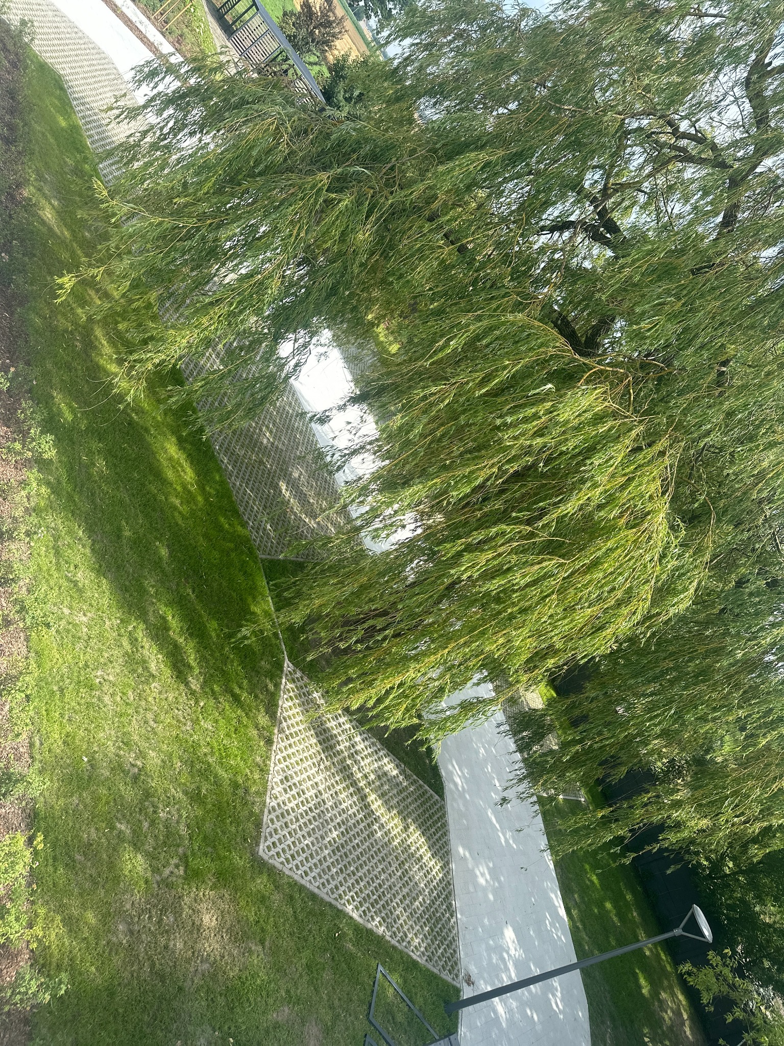 Widok z góry na trawnik z drzewem o zwisających gałęziach, ścieżkę z jasnych płyt i ażurową kostkę betonową.