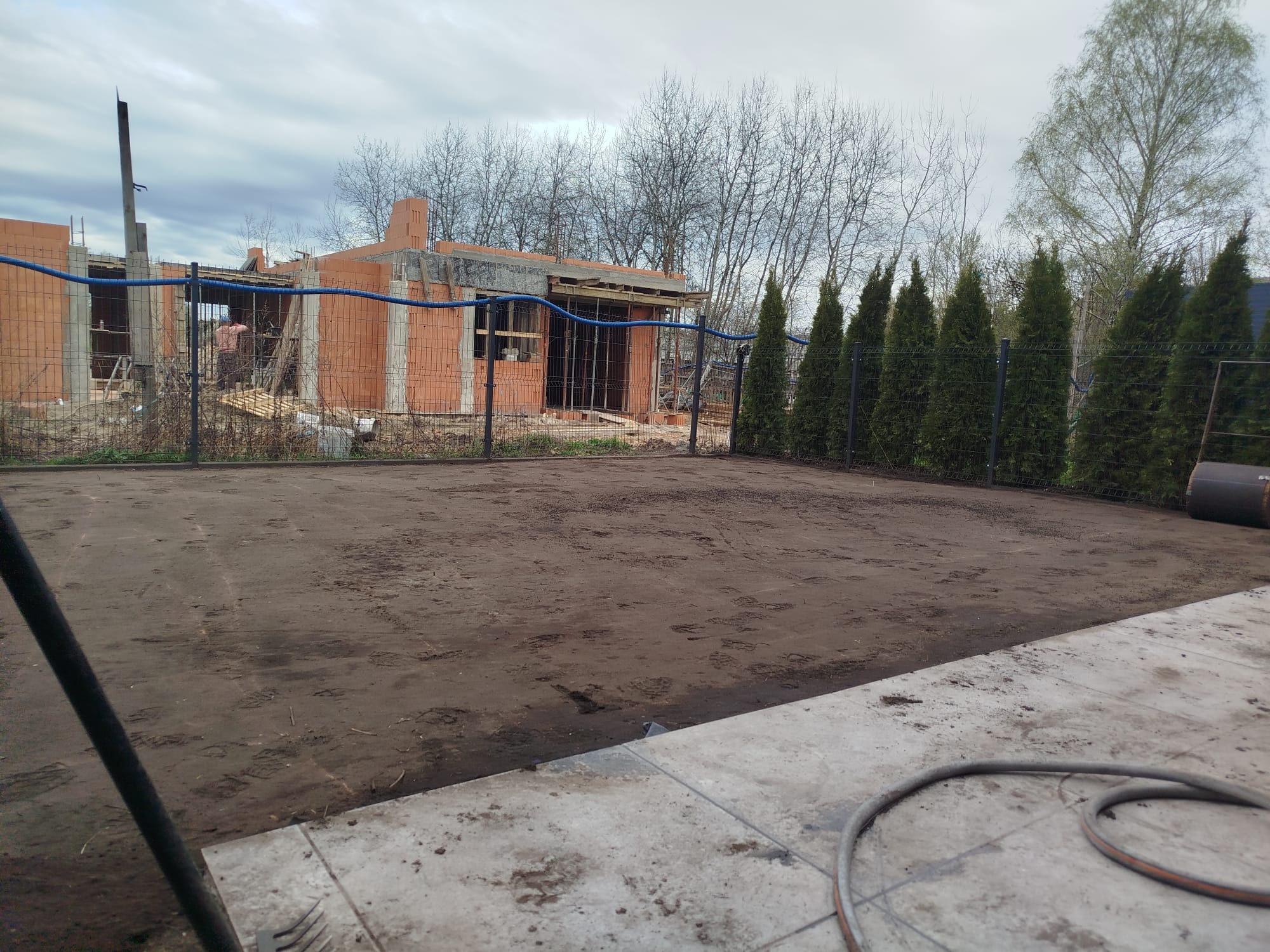 Przygotowany teren pod trawnik w Sosnowcu, widoczne ślady stóp na wyrównanej ziemi, w tle budynek w trakcie budowy i rząd tuj.