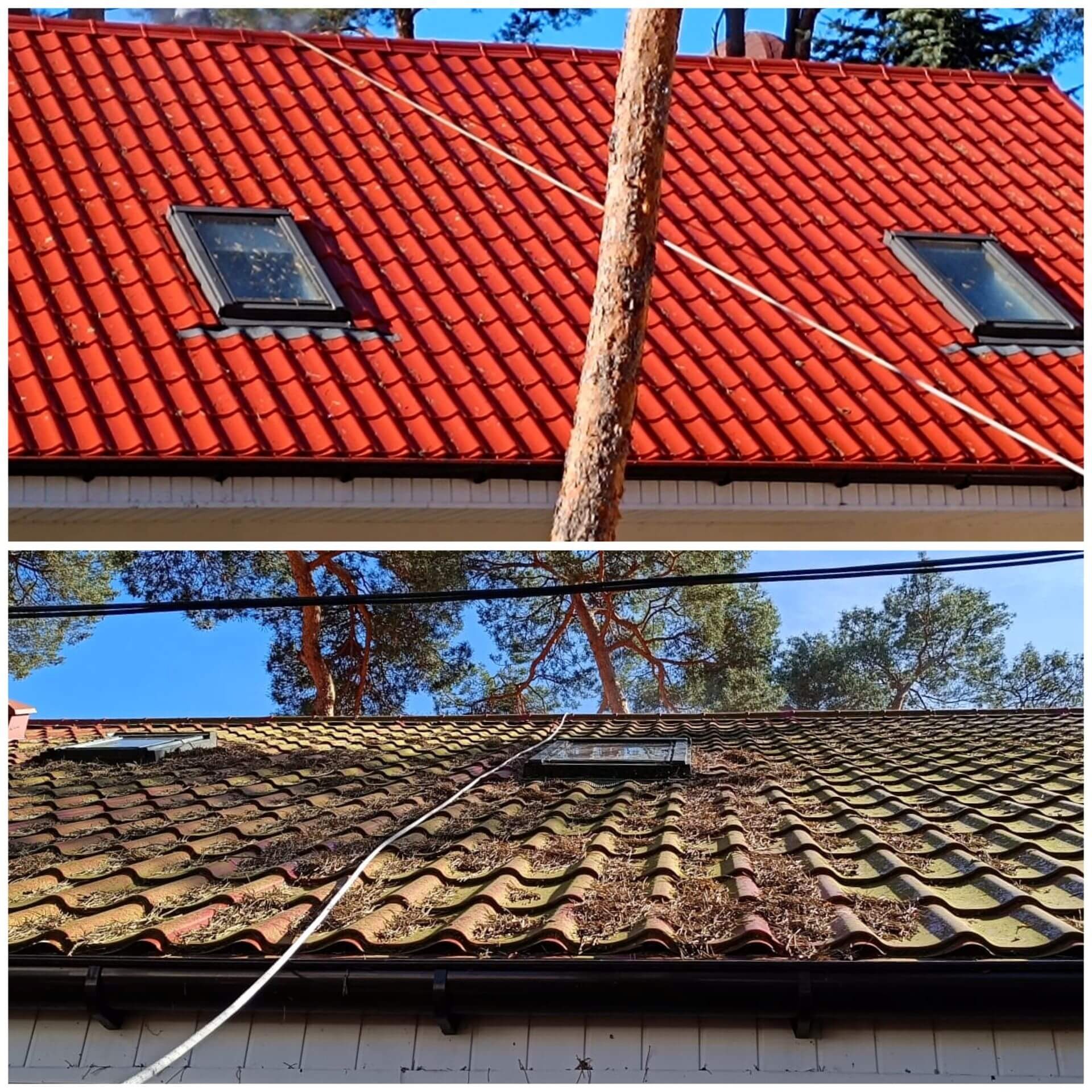 Zdjęcie dachu przed i po zabiegu czyszczenia. Widoczne okna dachowe i czerwona dachówka po interwencji, kontrastująca z zabrudzoną częścią dachu.