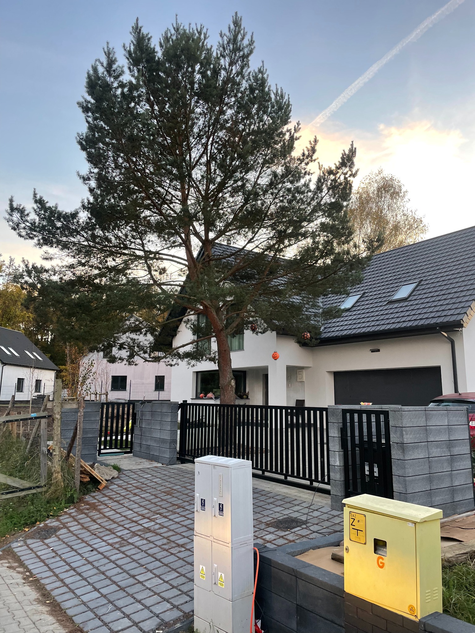 Nowoczesny dom jednorodzinny z grafitową bramą wjazdową i ogrodzeniem z betonowych bloczków, z widoczną kostką brukową na podjeździe i wysoką sosną na pierwszym planie.