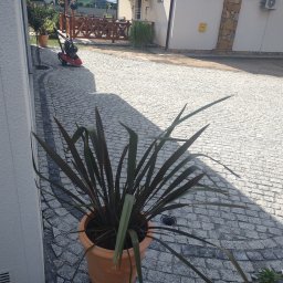 ER-BRUK - Szara kostka granitowa ułożona na podjeździe domu jednorodzinnego, w tle zagęszczarka wibracyjna i donica z rośliną.