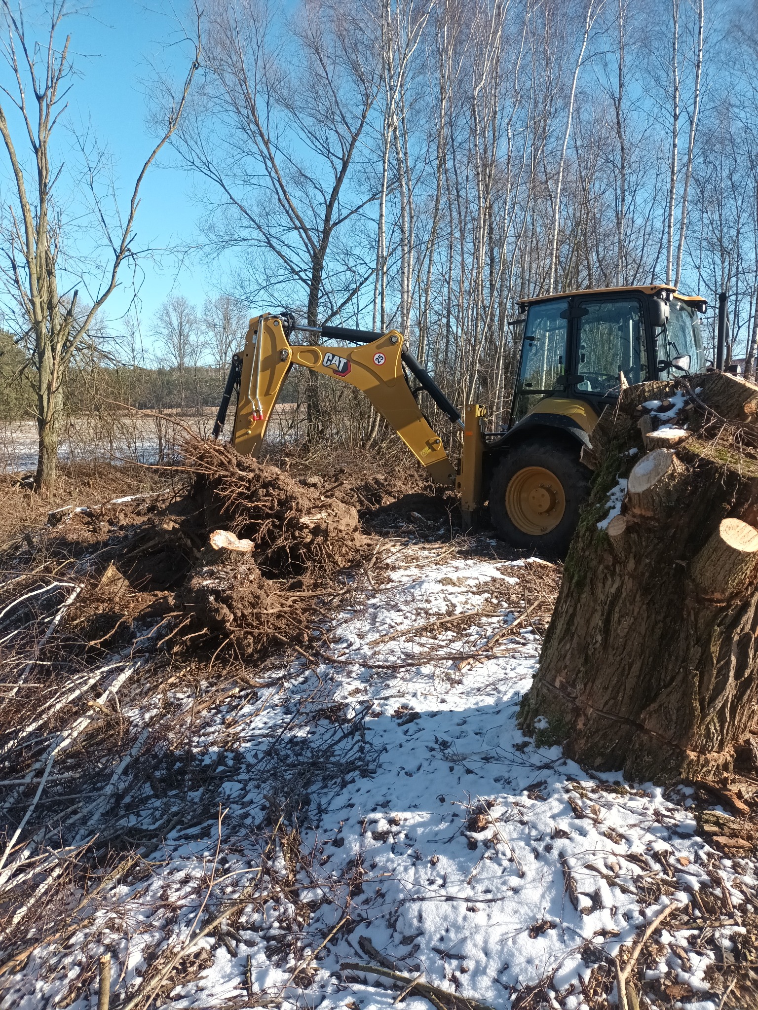 Żółta koparko-ładowarka CAT wyrywa korzenie drzew na częściowo ośnieżonym terenie, w tle widoczne drzewa bez liści i błękitne niebo.