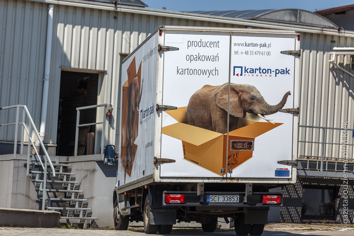 Tył samochodu dostawczego z reklamą producenta opakowań kartonowych: słoń w kartonowym pudle, logo firmy Karton-Pak i dane kontaktowe.