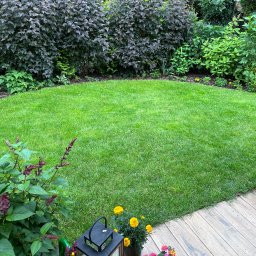 Wycinka drzew Byszewo 1