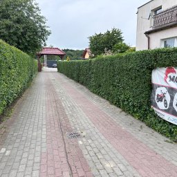 Wycinka drzew Byszewo 2