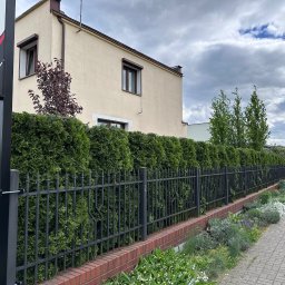 Wycinka drzew Byszewo 3