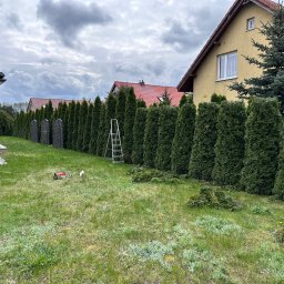 Wycinka drzew Byszewo 4