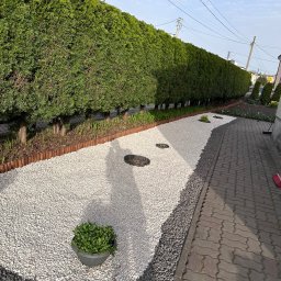 Serwis Ogrodowy Wiśniewski Bartosz Wiśniewski - Ogród z białym żwirem, obrzeżem z palików i równo przyciętym żywopłotem z tui, donica z zieloną rośliną na pierwszym planie, widok z boku na ścieżkę z kostki brukowej.