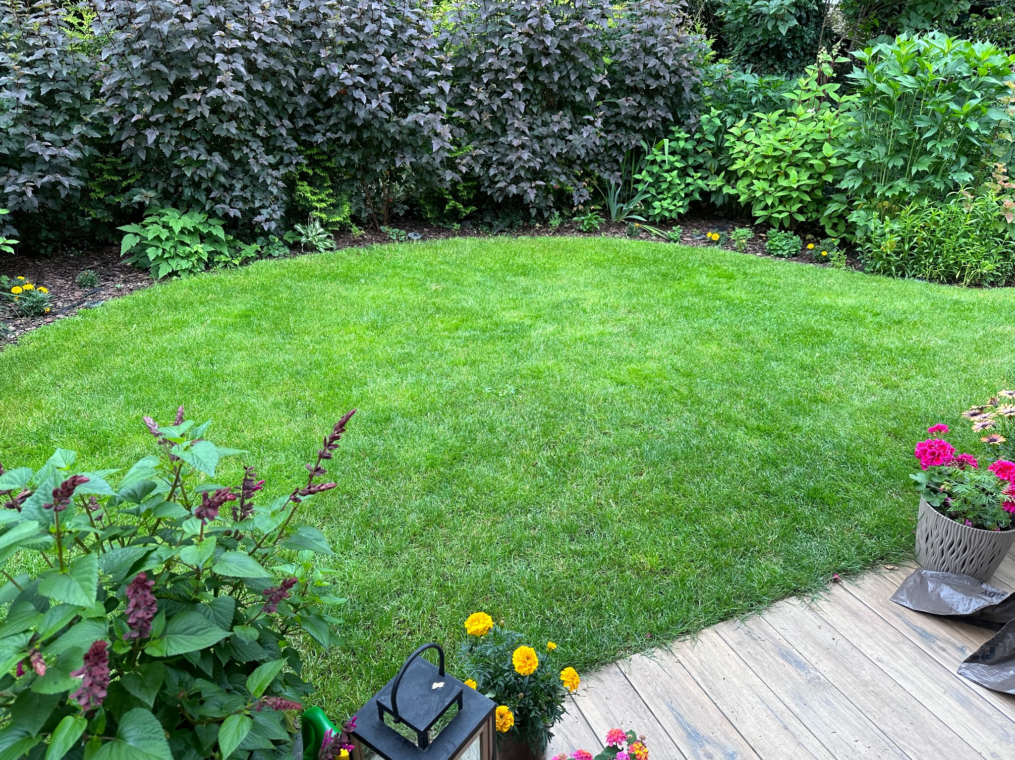 Równomiernie skoszony trawnik w ogrodzie, otoczony ozdobnymi krzewami i kwiatami w donicach na drewnianym tarasie, z widocznym fragmentem łopaty i worków z ziemią.
