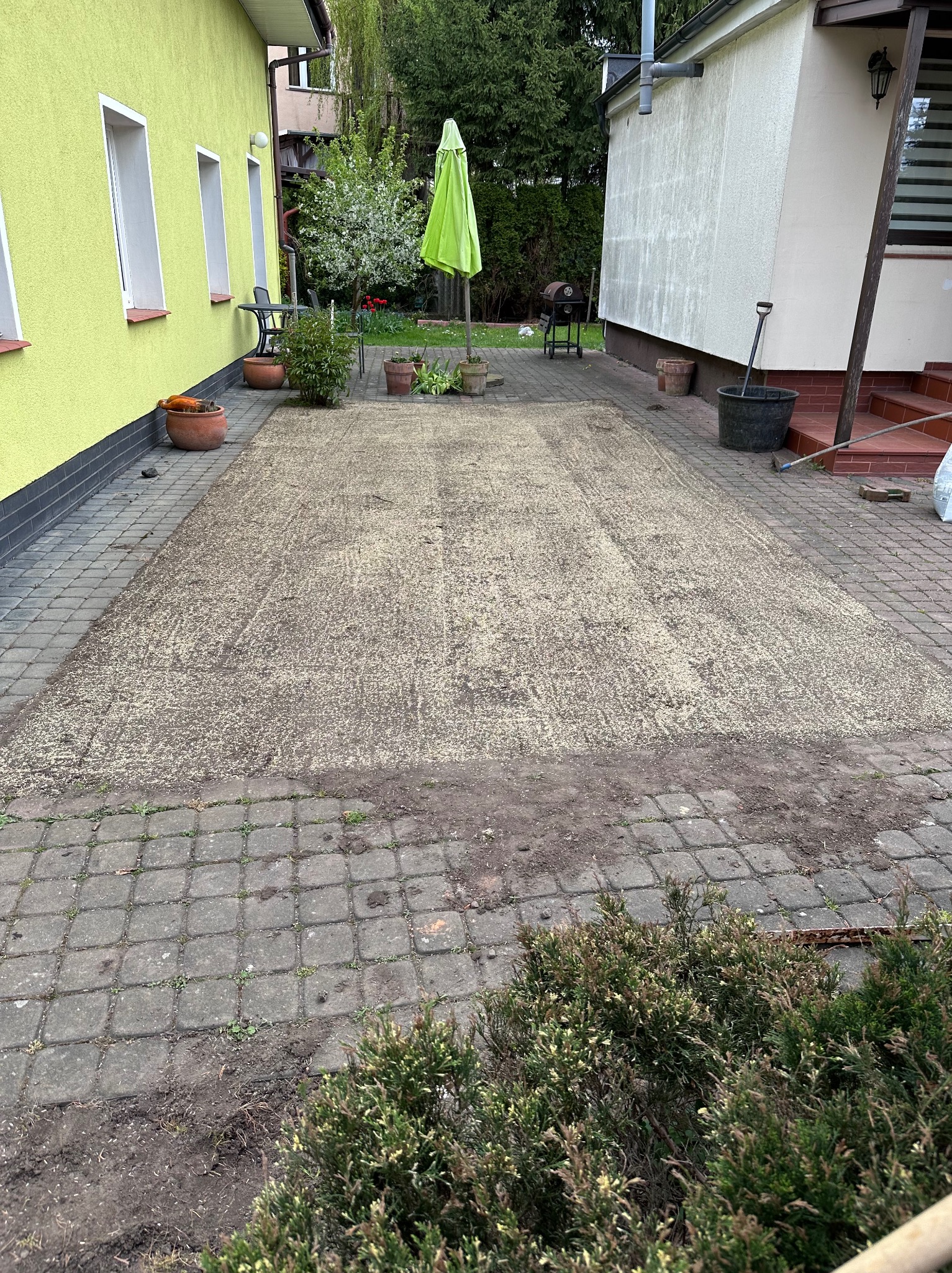 Przygotowane podłoże pod trawnik z wysianą trawą na podwórku z kostki brukowej, widoczne budynki i elementy ogrodu.