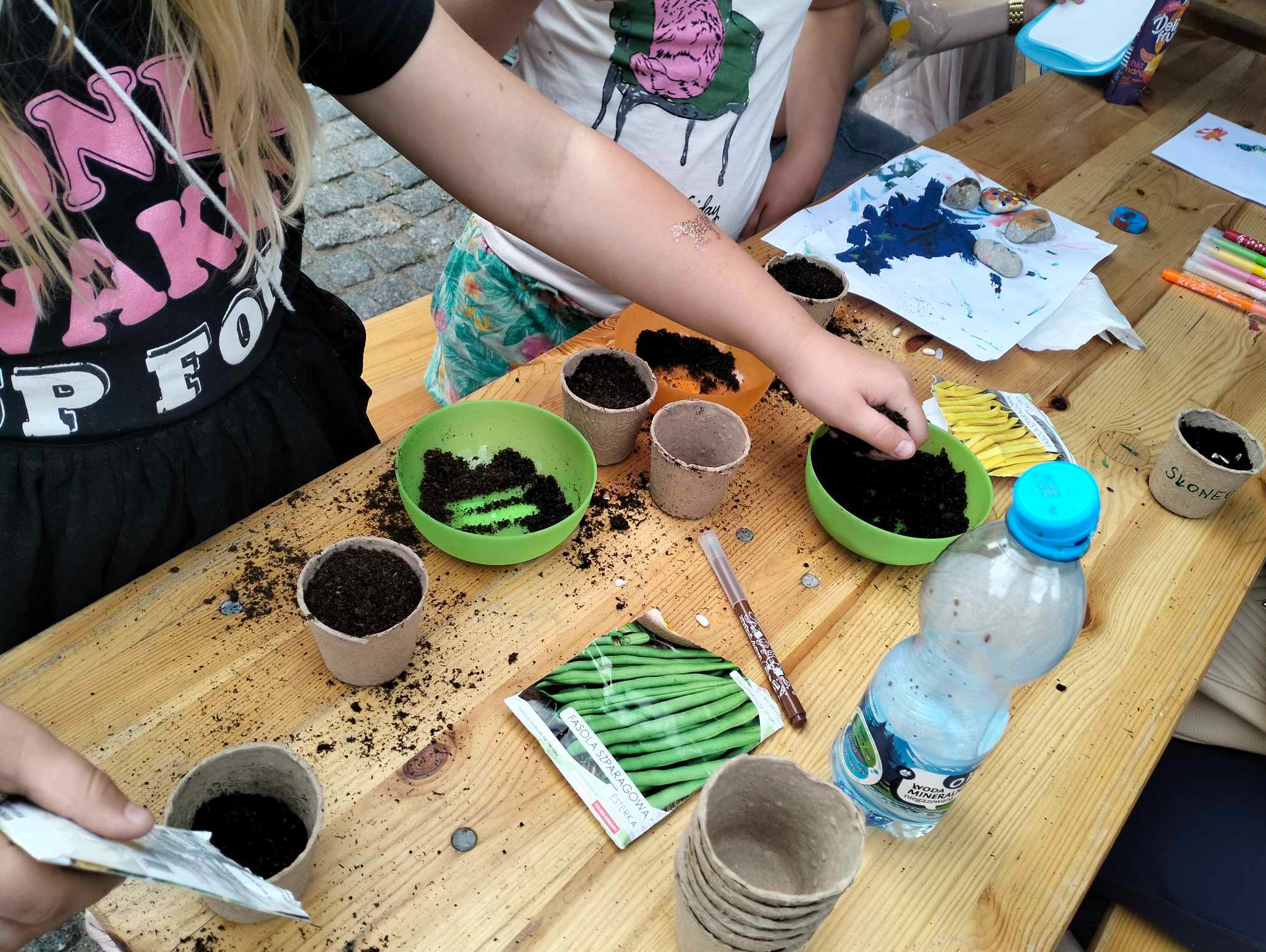 Dzieci sadzą fasolę szparagową w małych doniczkach podczas warsztatów ogrodniczych, widoczne nasiona, ziemia, doniczki i pomalowane kamienie.