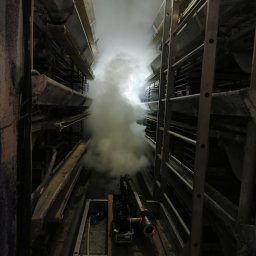 Dezynsekcja i deratyzacja Bełchatów 1