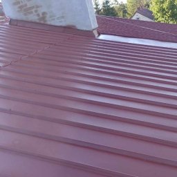 Mycie dachów Winnica 4