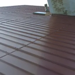 Ciemnobrązowy dach z blachy trapezowej, widoczny komin z zaciekami i fragment okna dachowego, w tle drzewa i budynek.