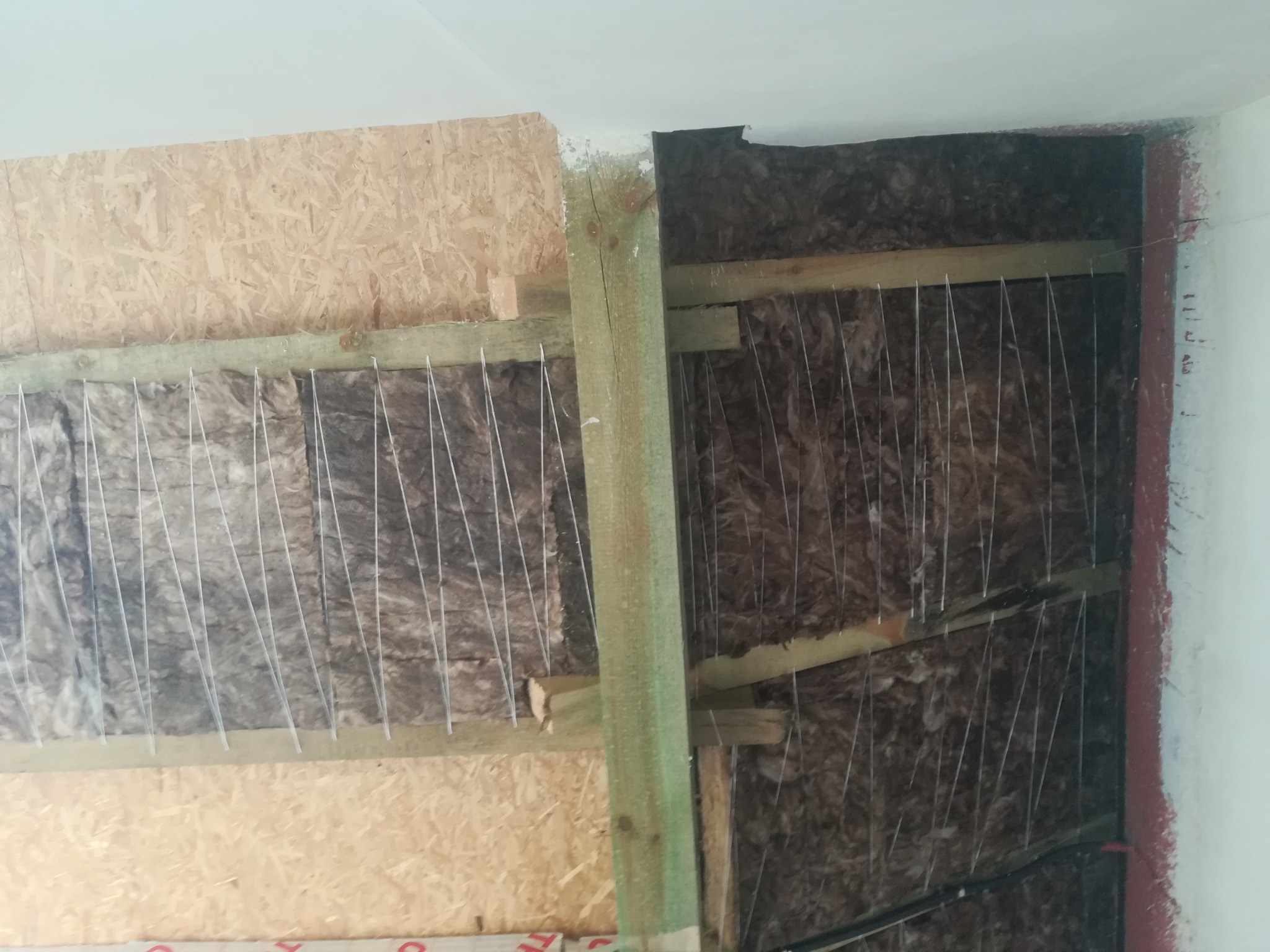 Montaż izolacji z wełny mineralnej zabezpieczonej sznurkami, widoczne drewniane elementy konstrukcyjne i płyta OSB.