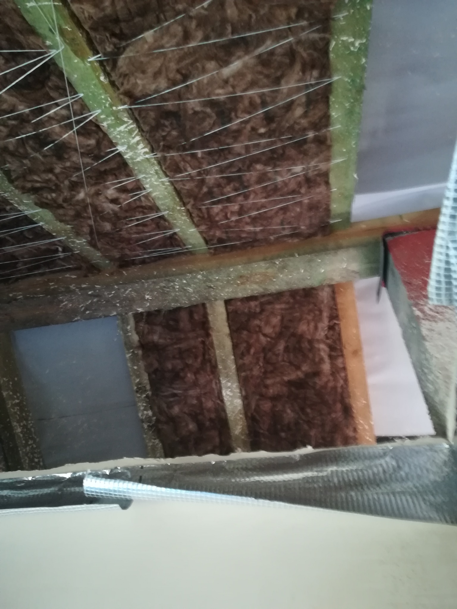 Izolacja poddasza z wełny mineralnej między drewnianymi belkami, zabezpieczona sznurkami, widok z dołu.