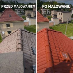Malowanie dachów Stare Siołkowice 3