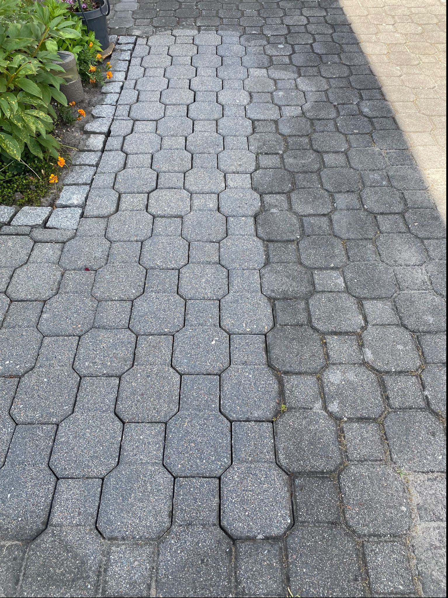 Częściowo wyczyszczona, szara kostka brukowa o geometrycznym wzorze, z widoczną różnicą w kolorze między czystą a zabrudzoną powierzchnią, sąsiadująca z rabatą kwiatową.