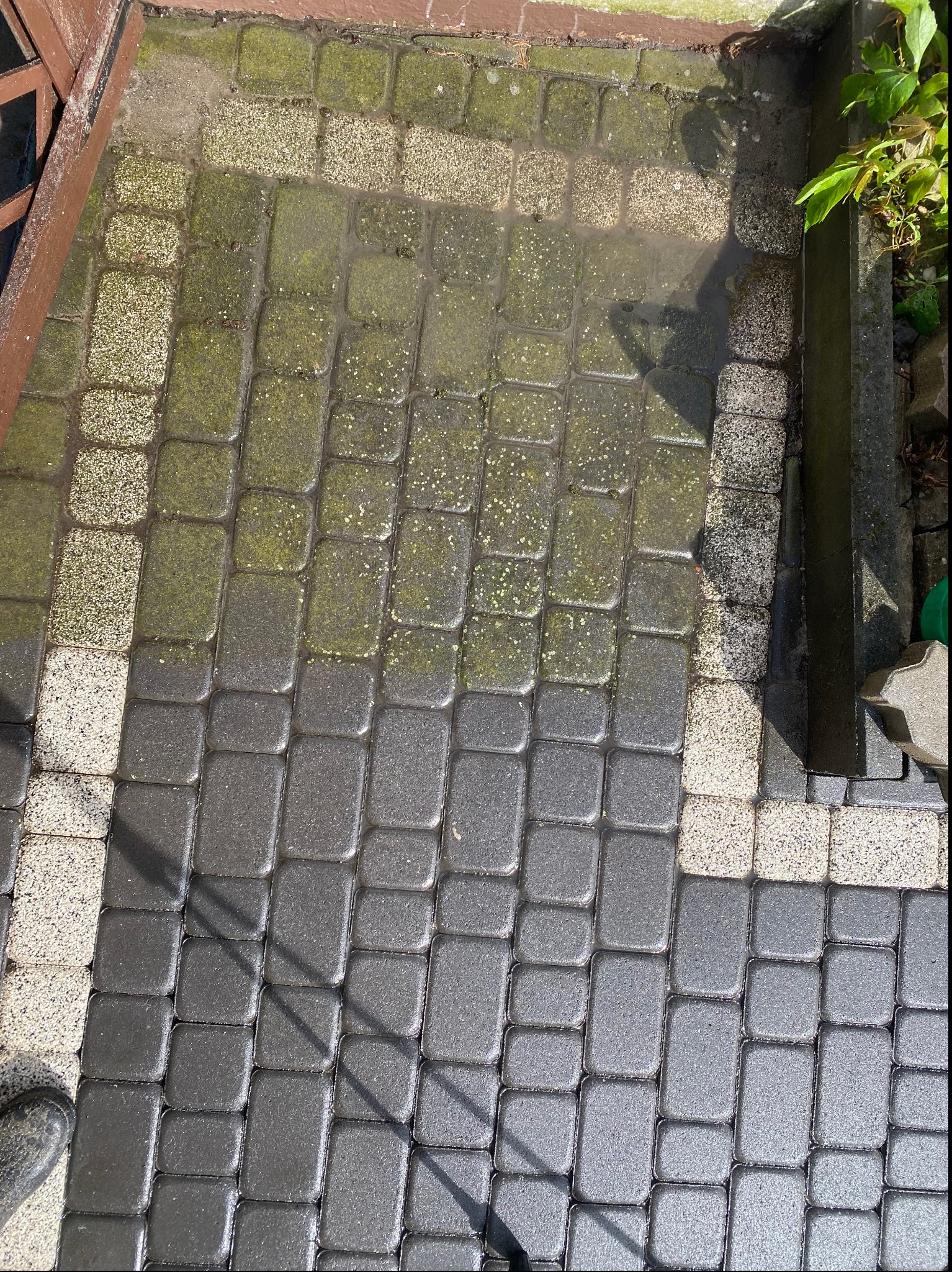 Częściowo wyczyszczona kostka brukowa, widoczna różnica między czystą, szarą częścią a zabrudzoną, zielonkawą, mokrą powierzchnią. W tle fragment okna i roślinność.