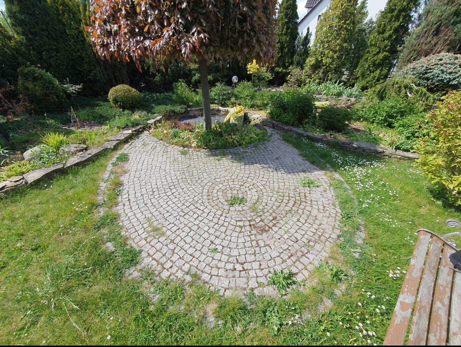 Półokrągła ścieżka z kostki brukowej ułożonej w koncentryczne kręgi, otoczona zielonym trawnikiem i roślinnością ogrodową, z drzewem o brązowych liściach w centrum kompozycji.