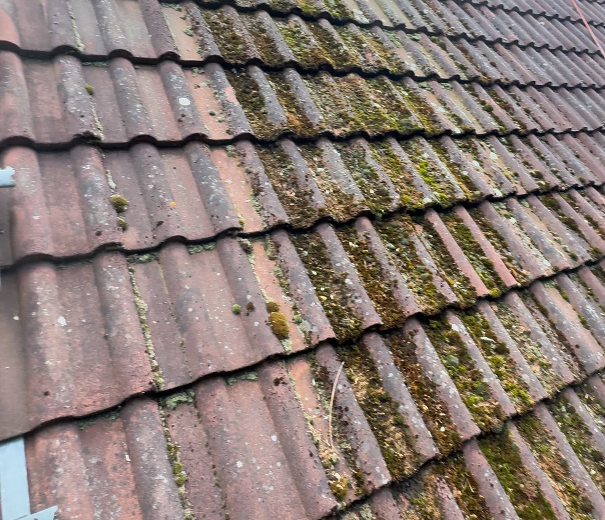 Ceglasty dach pokryty mchem i porostami, widoczne zabrudzenia. Dachówka karpiówka w zbliżeniu, nierównomierne oświetlenie.