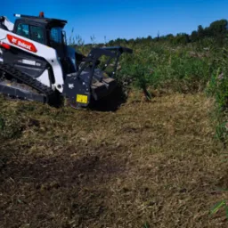 Biała miniładowarka Bobcat T86 z frezem leśnym na gąsienicach, w trakcie karczowania zarośli na łące w słoneczny dzień. Widoczne ścięte resztki roślin.