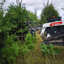 Rafał Stanisławski - Biała miniładowarka Bobcat częściowo widoczna, usuwająca zarośla i małe drzewka na zewnątrz, w tle widoczne drzewa i pochmurne niebo.