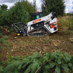 Rafał Stanisławski - Biała miniładowarka Bobcat T86 z frezarką do pni na gąsienicach, częściowo zagłębiona w ziemi, wśród ściętych drzew iglastych i drobnych gałęzi na terenie zielonym.