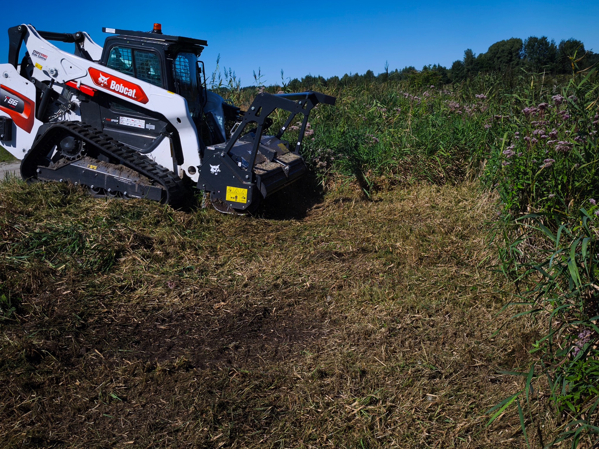 Biała miniładowarka Bobcat T86 z frezem leśnym na gąsienicach, w trakcie karczowania zarośli na łące w słoneczny dzień. Widoczne ścięte resztki roślin.