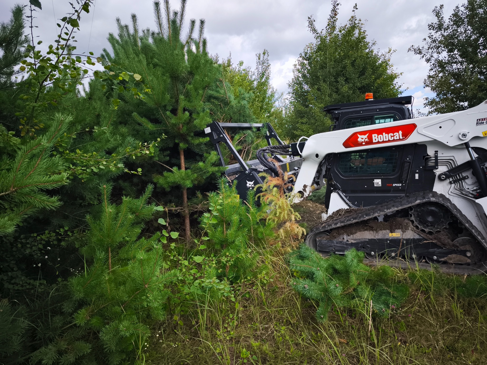 Biała miniładowarka Bobcat częściowo widoczna, usuwająca zarośla i małe drzewka na zewnątrz, w tle widoczne drzewa i pochmurne niebo.