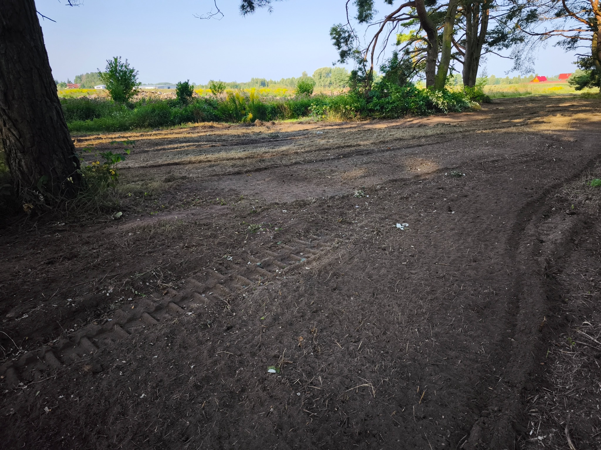 Przygotowany teren pod budowę z widocznymi śladami opon. W tle zieleń i zabudowania. Prace ziemne w słoneczny dzień.