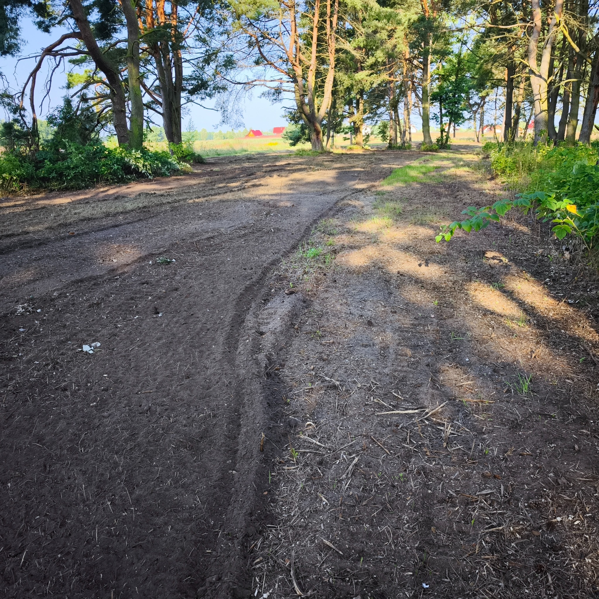 Teren po niwelacji, widoczne ślady opon, drzewa w tle. Przygotowany grunt pod dalsze prace, np. budowlane lub ogrodnicze. Ślady pracy maszyn.