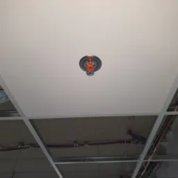 Widok z dołu na zamontowany, czerwony tryskacz przeciwpożarowy w białym suficie podwieszanym, z widoczną konstrukcją i instalacjami nad sufitem.