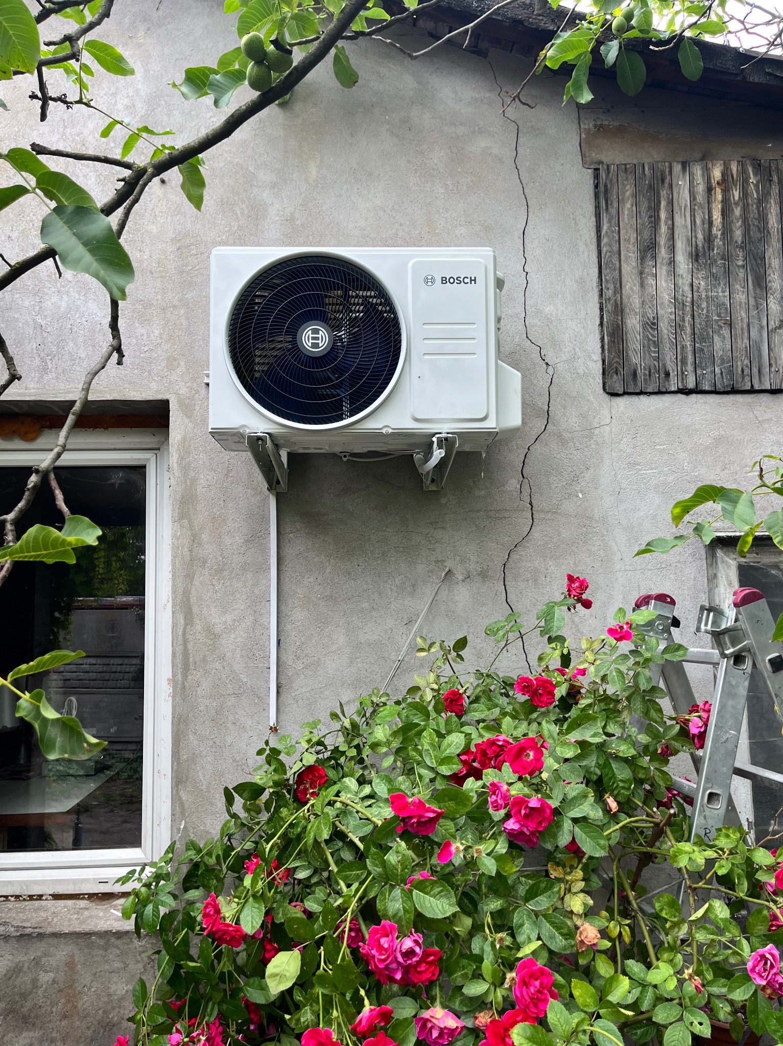 Zamontowany klimatyzator Bosch na ścianie budynku z pnącymi różami i drabiną. Widoczne okno i drewniana okiennica. Ściana z pęknięciem.