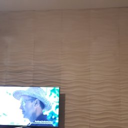 Arkadiusz Pawlak - Ściana pokryta dekoracyjnymi panelami 3D w odcieniach beżu, widoczny fragment ściany z drzwiami i włącznikiem światła, na pierwszym planie telewizor.