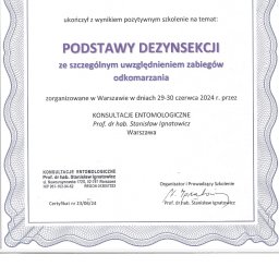 Dezynsekcja i deratyzacja Wrocław 4