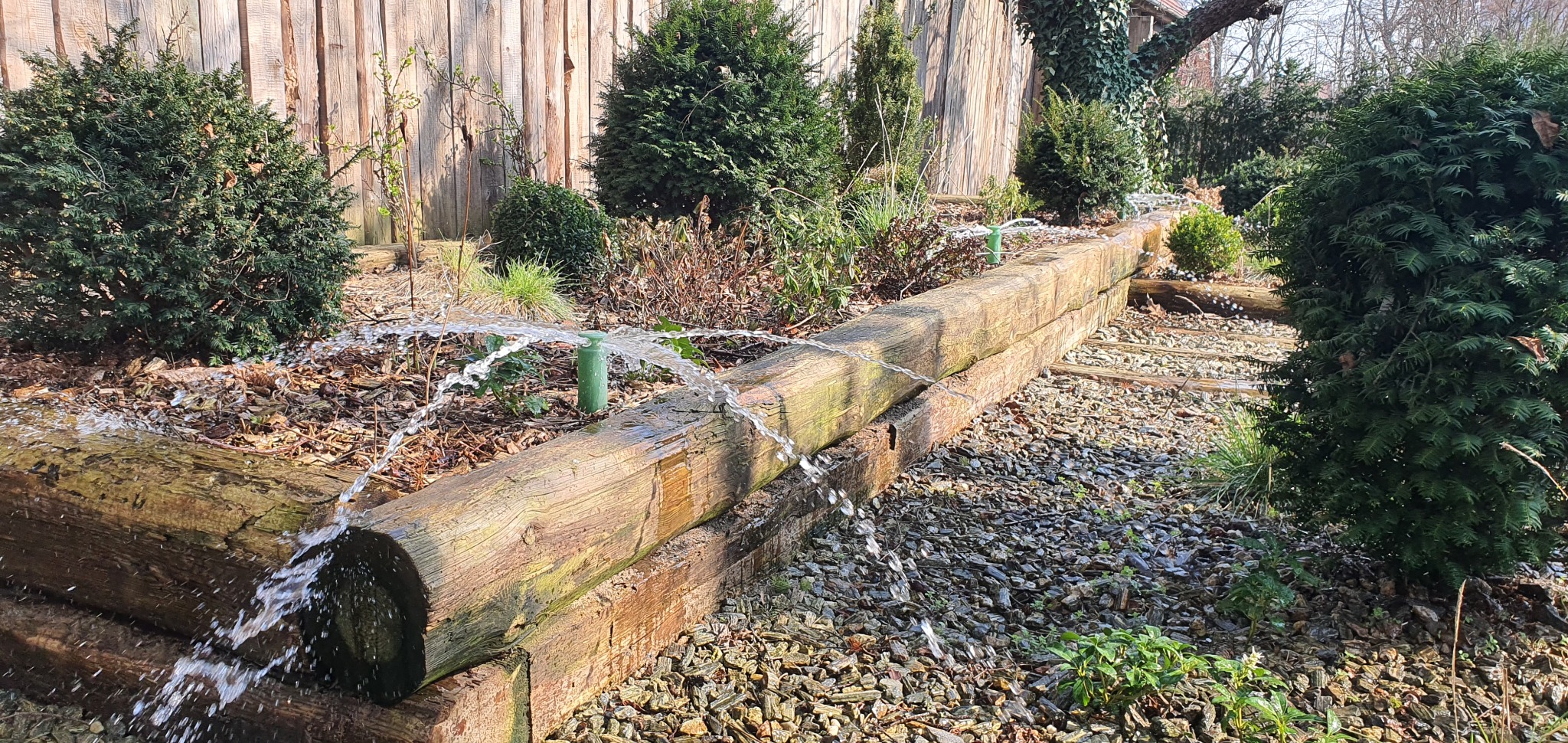 Drenaż liniowy z drewnianych bali w ogrodzie, z widocznymi dyszami rozpryskującymi wodę, otoczony kamieniami i roślinnością.