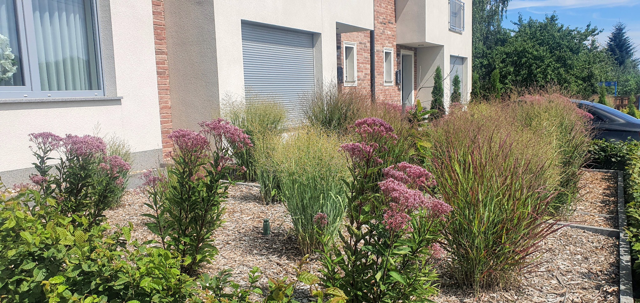 Nowoczesny dom jednorodzinny z zadbanym ogrodem, rabaty wysypane korą, ozdobne trawy i kwitnące rośliny w odcieniach różu, widok na elewację z roletą garażową i oknami.