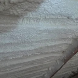 Pianą zamknietokomorkowa