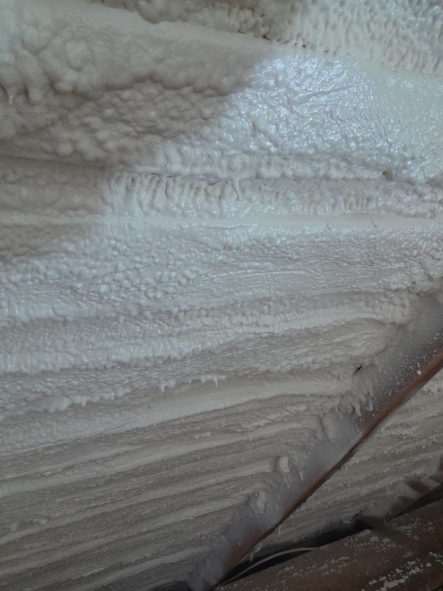 Pianą zamknietokomorkowa