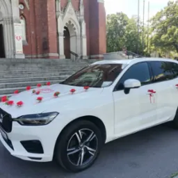 Biały SUV Volvo udekorowany czerwonymi różami i wstążkami, zaparkowany przed kościołem. Dekoracja ślubna na masce i klamkach, zielone drzewa w tle.