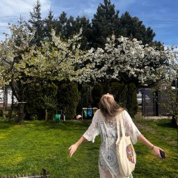 Zdjęcie ze zrobionego przez nas ogródka z podciętymi drzewami krzewami i skoszoną trawą.