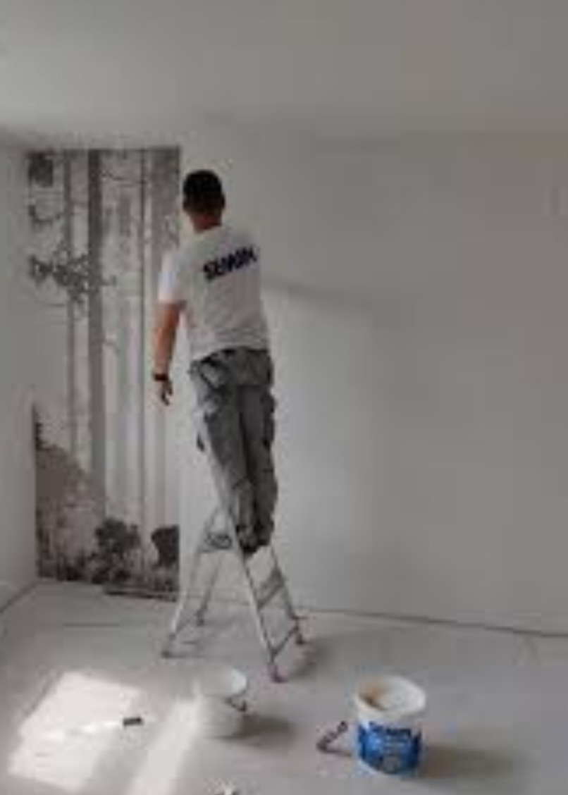 Mężczyzna na drabinie w trakcie malowania ściany z nałożoną fototapetą w motywie leśnym, widoczne wiaderka z farbą i zabezpieczona folią podłoga.