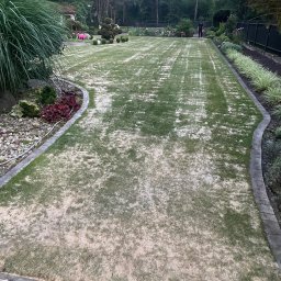 GRU GARDEN - Świeżo założony trawnik, z widocznymi śladami piasku lub ziemi na powierzchni, otoczony rabatami z roślinami i ozdobnymi kamieniami, w tle drzewa i krzewy.