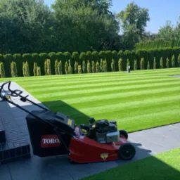 Czerwona kosiarka marki Toro z czarnym koszem stoi na szarym chodniku obok świeżo skoszonego trawnika z widocznymi pasami, w tle rząd tuj i drzewa.