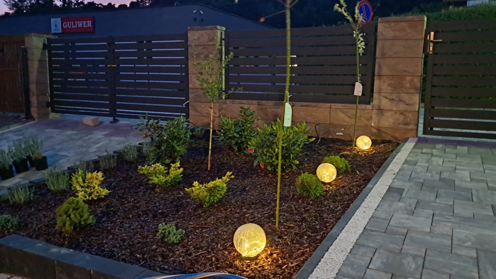 Nowo założony ogród z młodymi drzewkami, krzewami i ozdobnymi kulami świetlnymi, wykończony korą, otoczony nowoczesnym ogrodzeniem i kostką brukową.