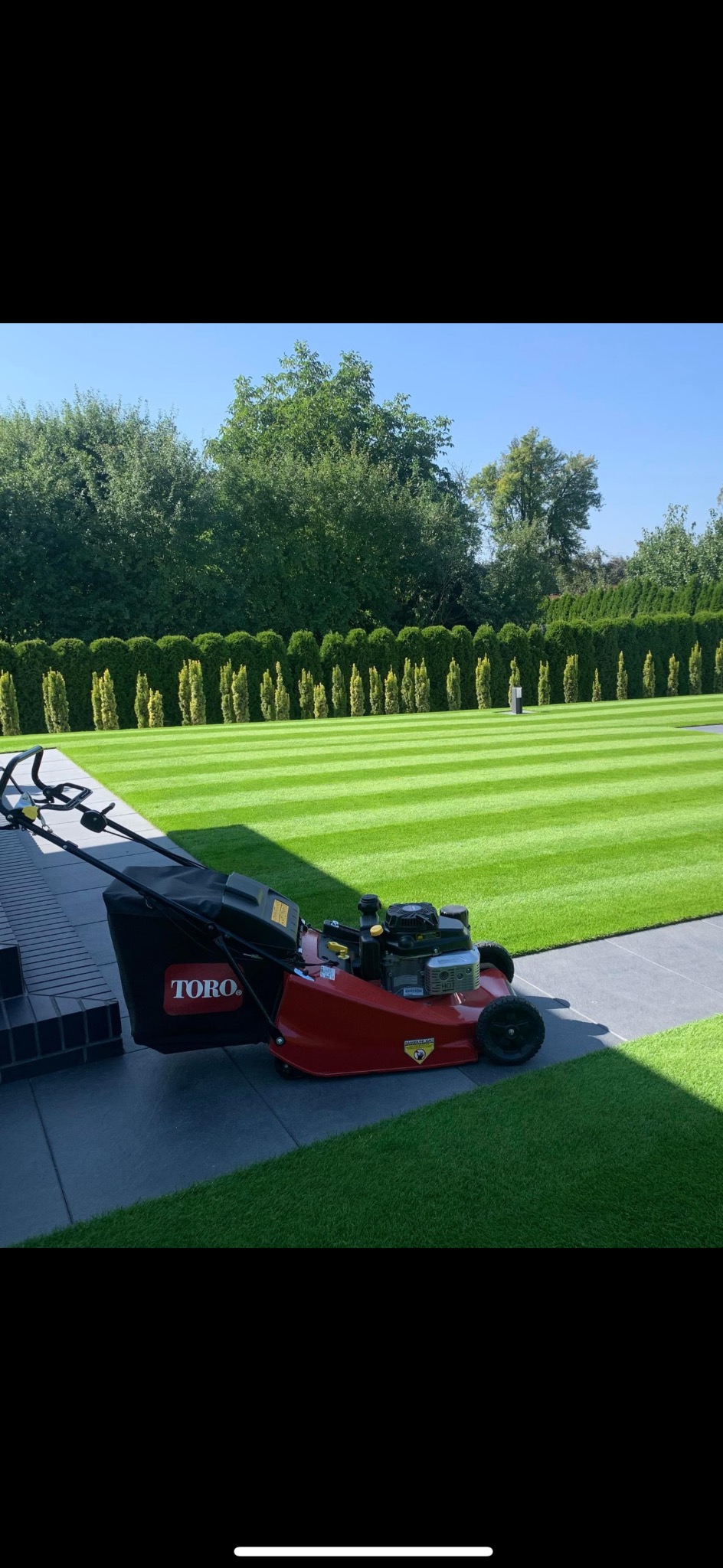 Czerwona kosiarka marki Toro z czarnym koszem stoi na szarym chodniku obok świeżo skoszonego trawnika z widocznymi pasami, w tle rząd tuj i drzewa.