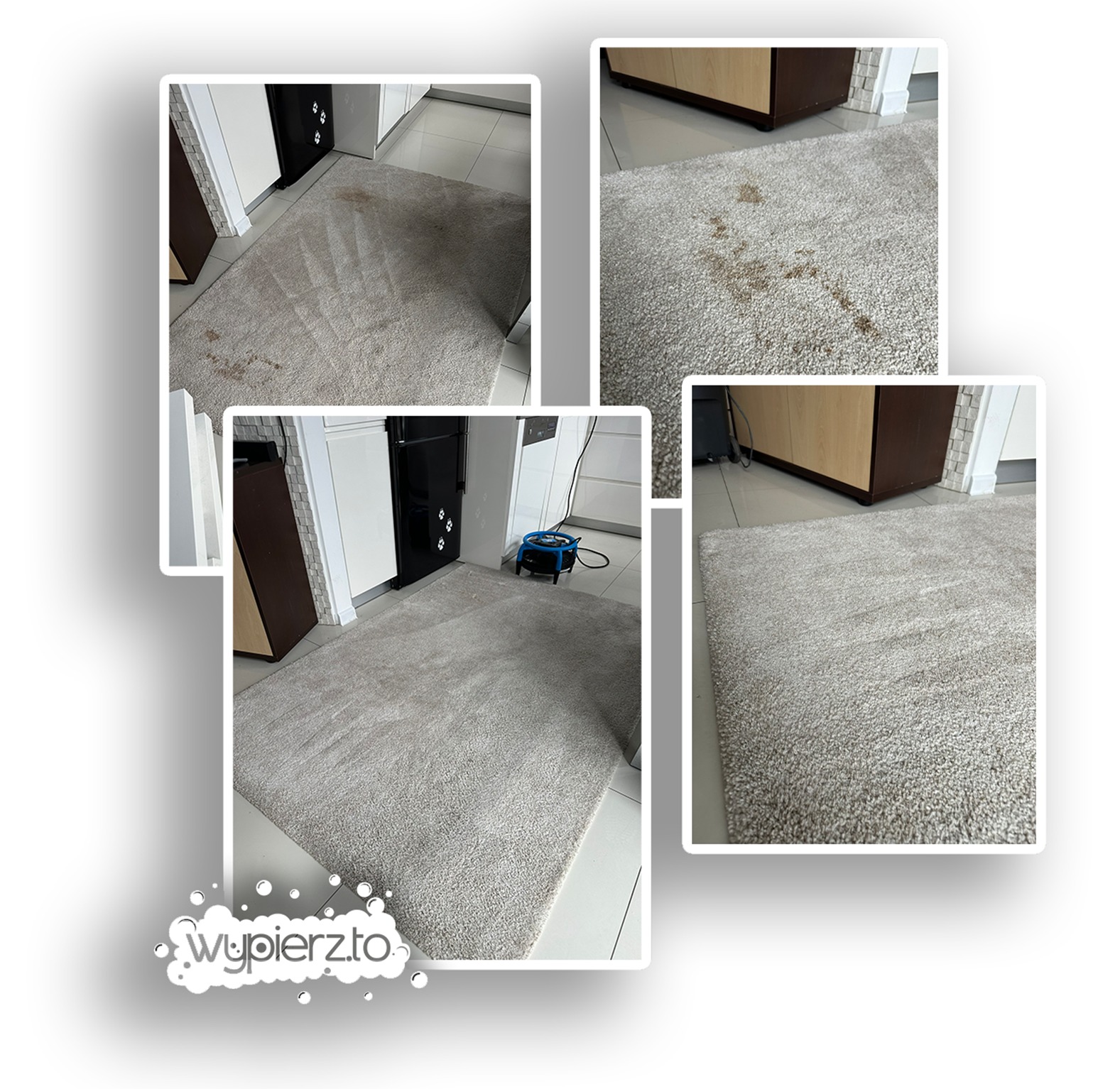 Kolaż zdjęć beżowego dywanu z widocznymi plamami przed i po czyszczeniu, z użyciem niebieskiego odkurzacza piorącego, na tle białych płytek podłogowych i zabudowy kuchennej.