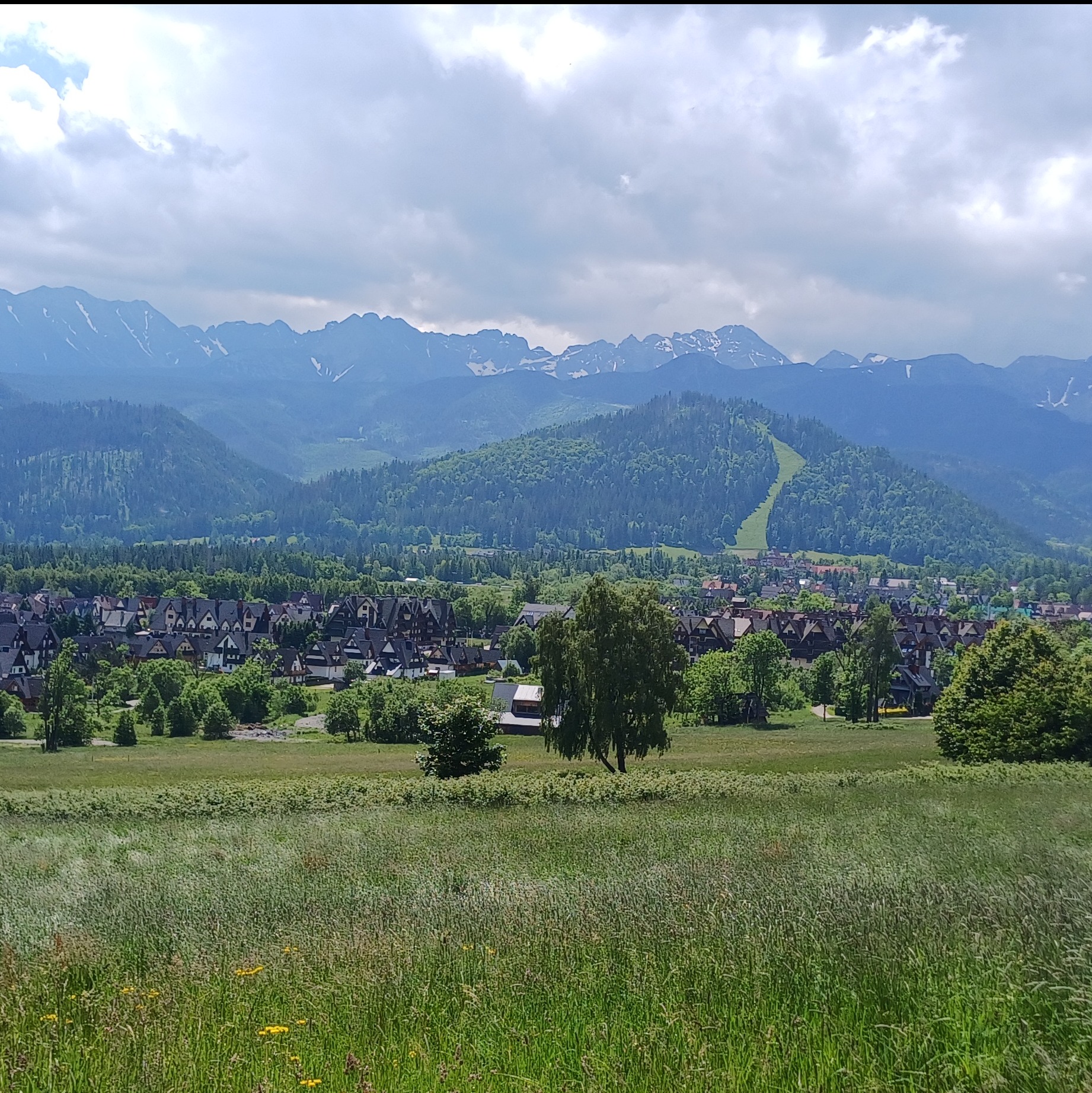 Panoramiczny widok na Zakopane z widocznymi Tatrami w tle, polem trawy na pierwszym planie i charakterystyczną zabudową miasta w dolinie.