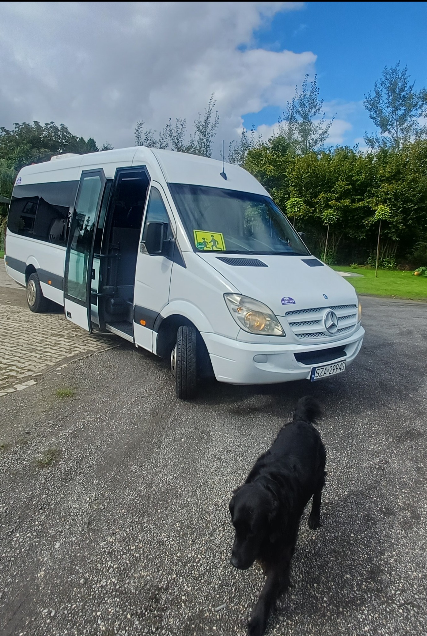 Biały bus Mercedes z otwartymi drzwiami i znakiem przewozu dzieci, zaparkowany na żwirowym podłożu, z czarnym psem w kadrze. W tle drzewa i błękitne niebo.